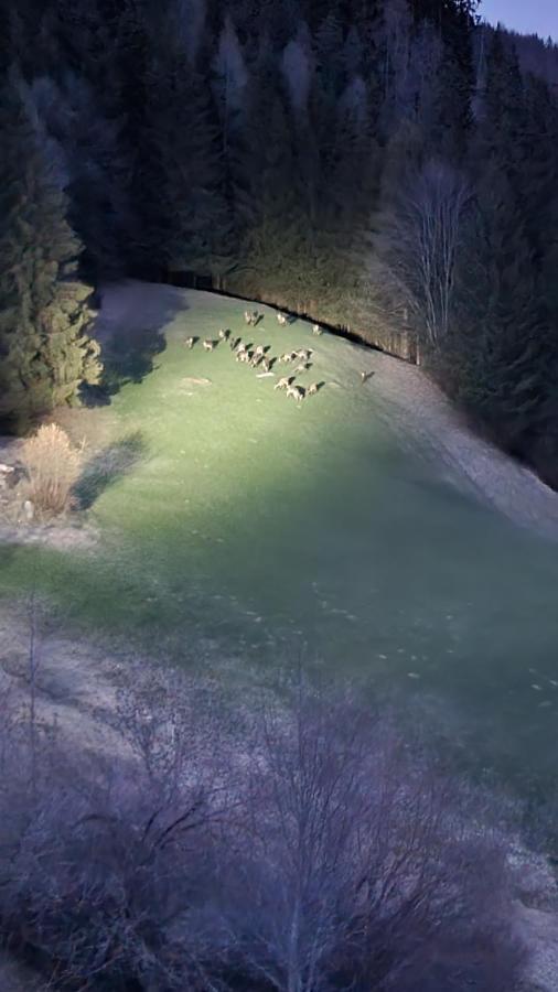 Ferienwohnungen Rabensteiner Bad Kleinkirchheim Exterior foto